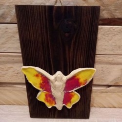 Obraz Motýľ